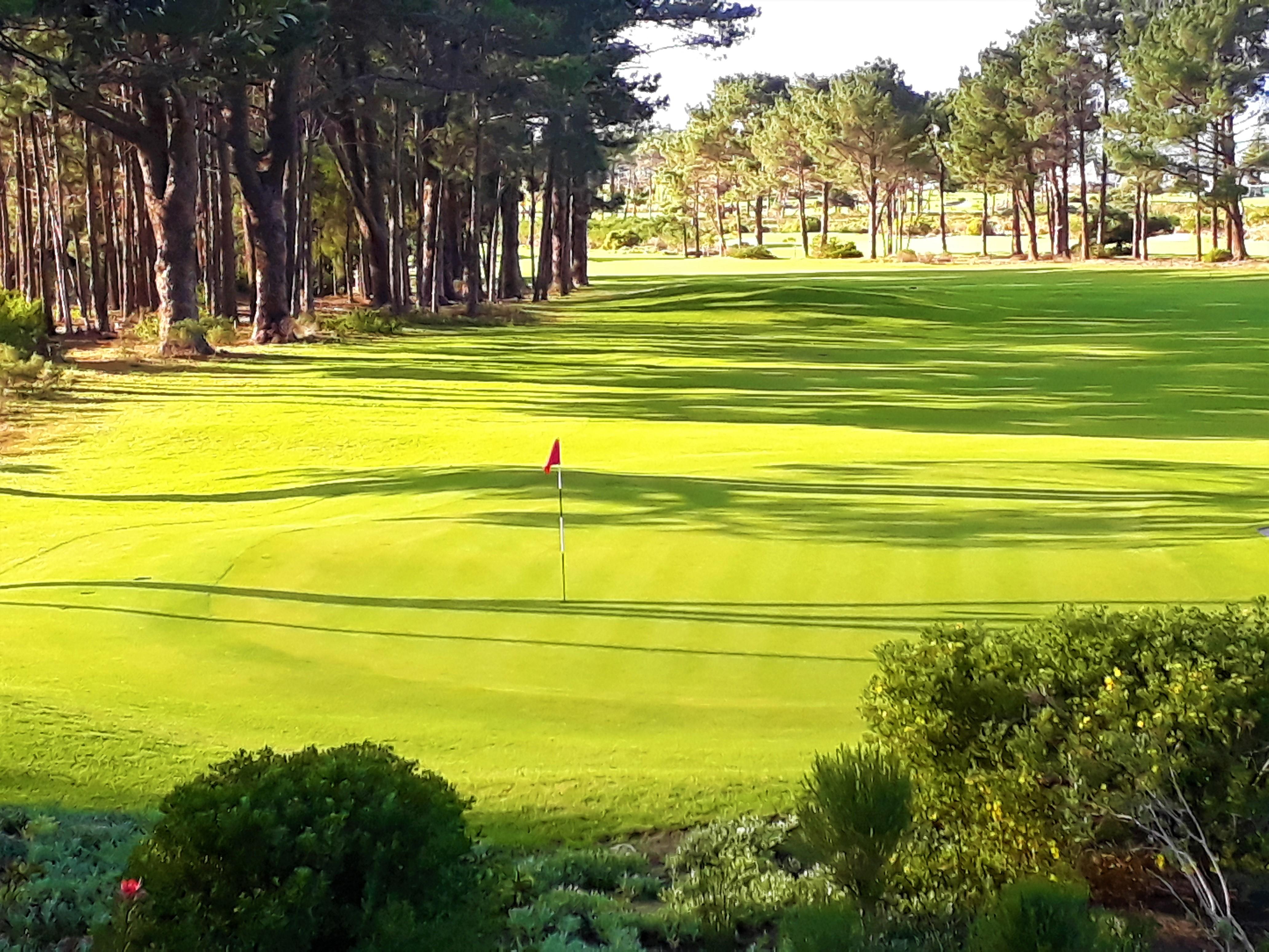 Hermanus Lodge On The Green - Solar Power מראה חיצוני תמונה